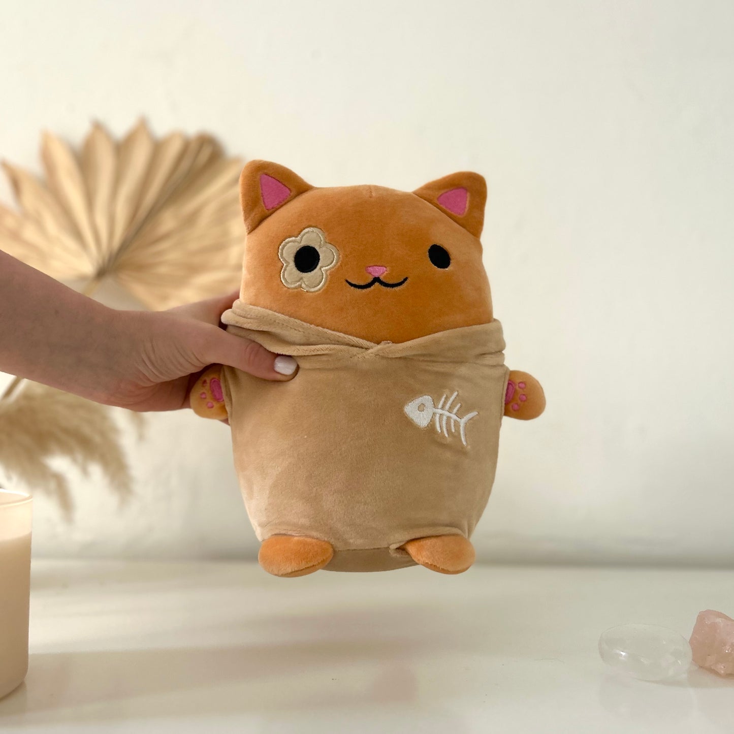 Clementine Cat